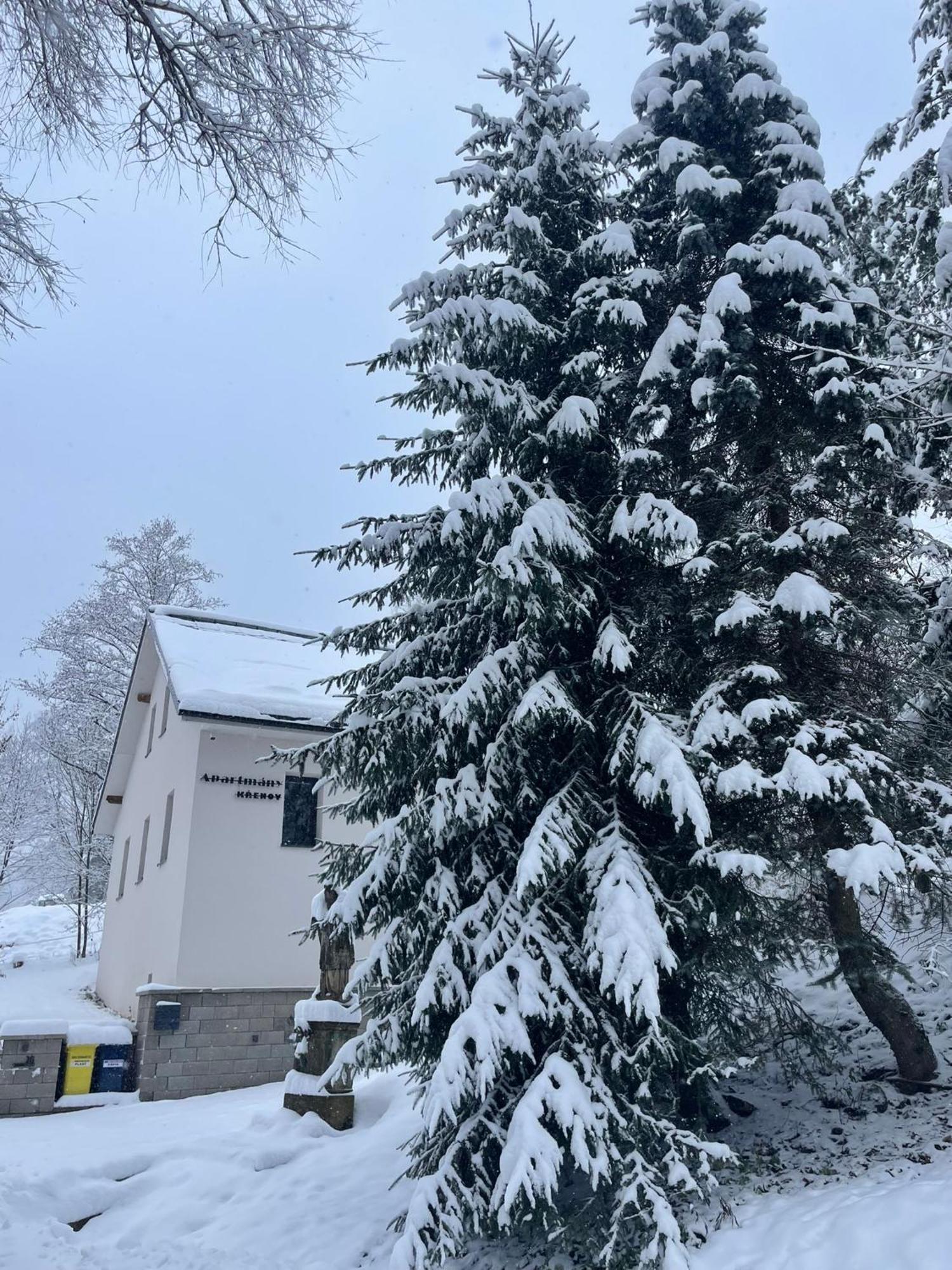 Apartmany Krenov Bernsdorf 외부 사진